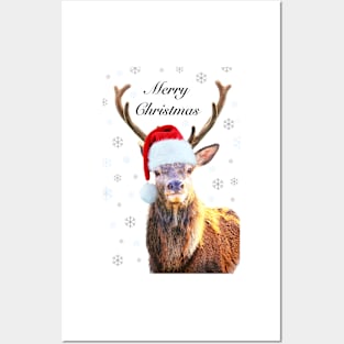 Christmas Stag Posters and Art